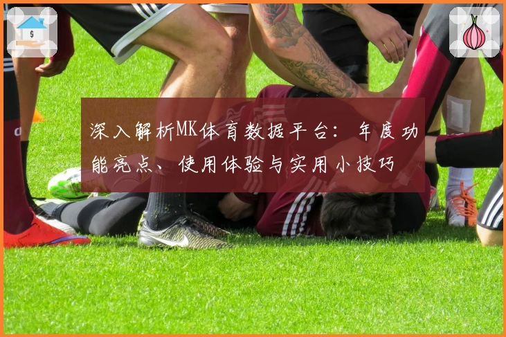 深入解析MK体育数据平台：年度功能亮点、使用体验与实用小技巧