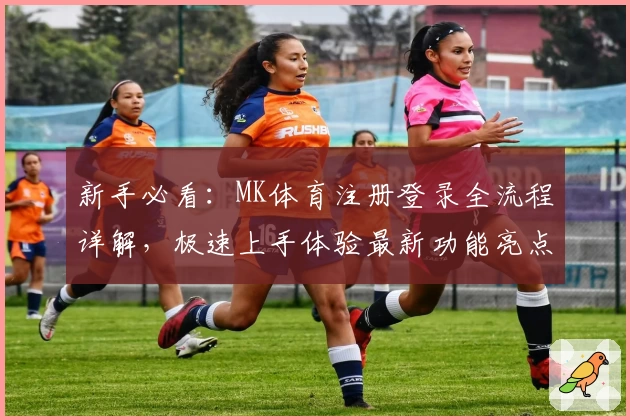 新手必看:MK体育注册登录全流程详解,极速上手体验最新功能亮点