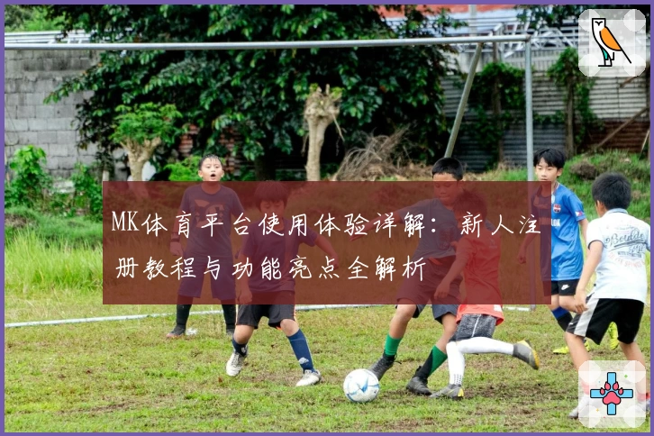 MK体育平台使用体验详解：新人注册教程与功能亮点全解析